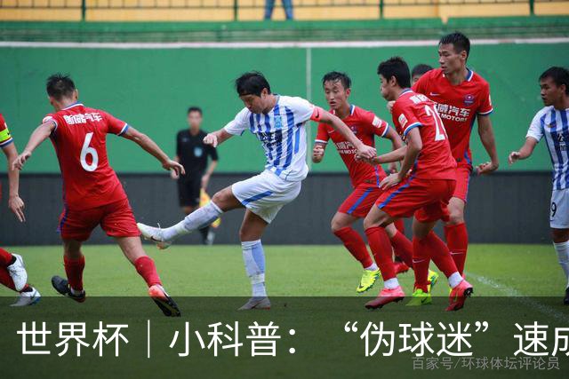 世界杯｜小科普：“伪球迷”速成手册